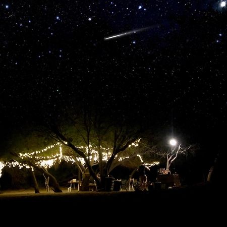 קלאנוויליאם Enjo Nature Farm מראה חיצוני תמונה